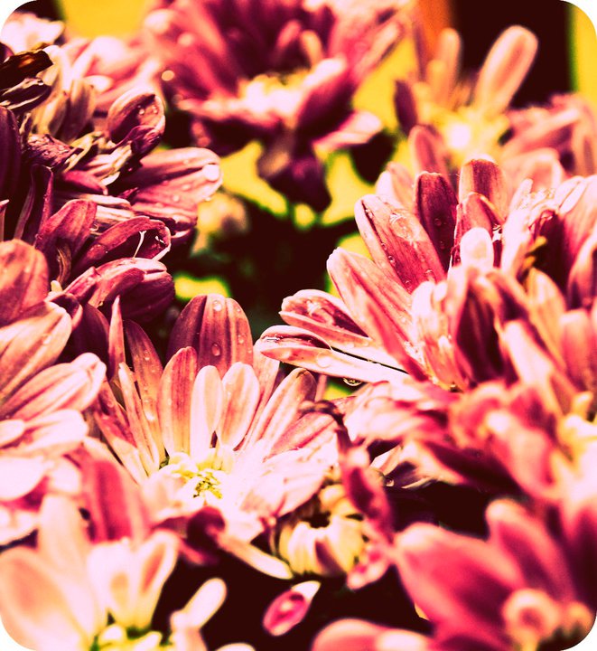 58957_1451367004156_1754294_n